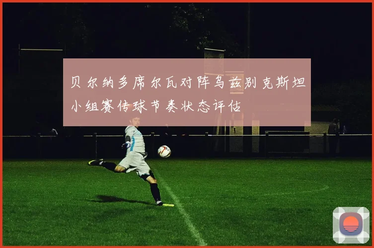 贝尔纳多席尔瓦对阵乌兹别克斯坦小组赛传球节奏状态评估