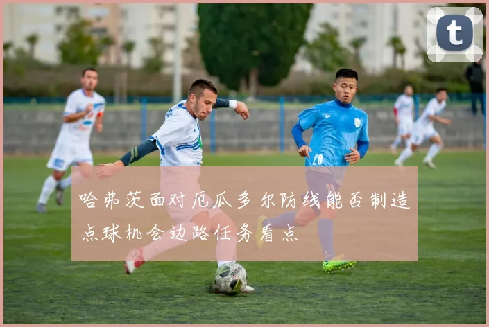 哈弗茨面对厄瓜多尔防线能否制造点球机会边路任务看点