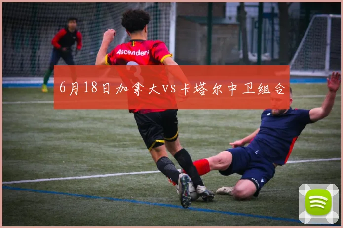 6月18日加拿大vs卡塔尔中卫组合