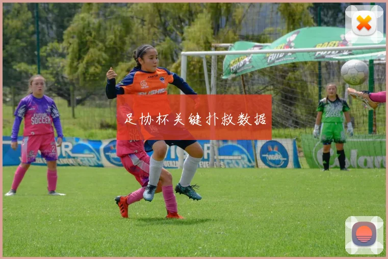足协杯关键扑救数据