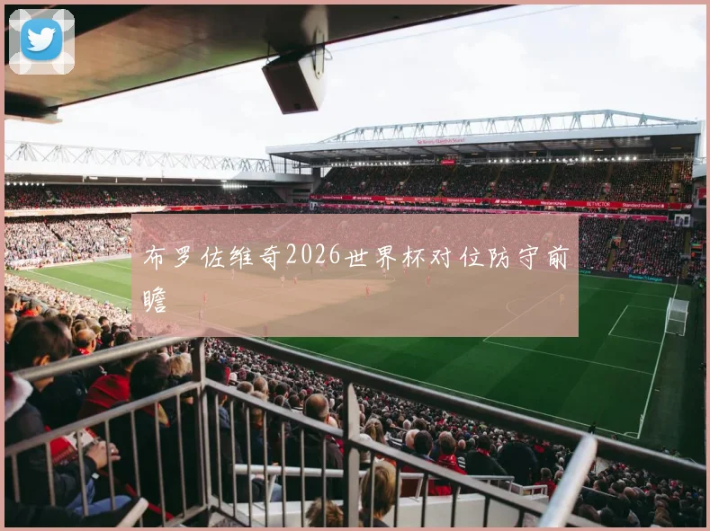 布罗佐维奇2026世界杯对位防守前瞻